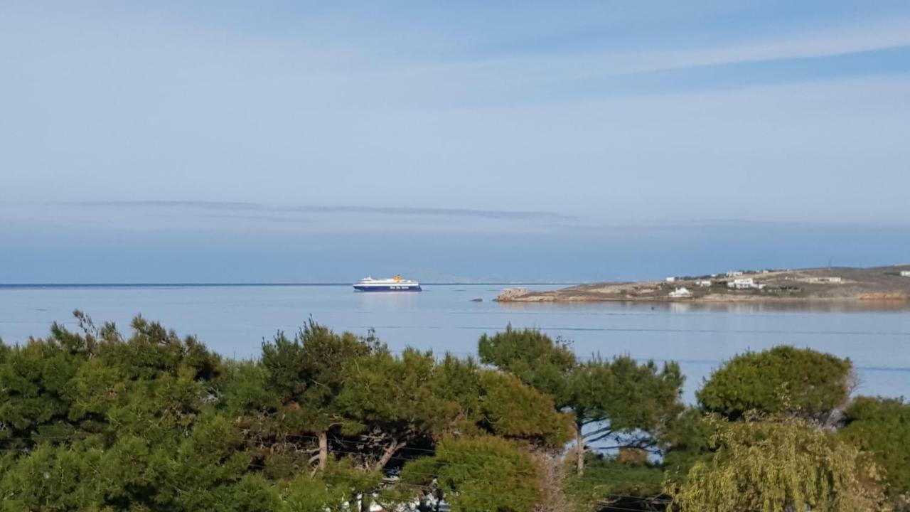 パラスポロス Port View Houseヴィラ エクステリア 写真